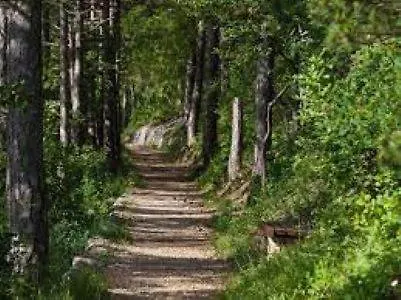 公寓 Jelly 茨里克韦尼察